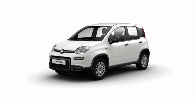 FIAT Pandina